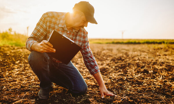 An experienced farmer works in a field with a tablet in hand. An agronomist checks the soil quality before sowing. Concept of gardening and ecology.