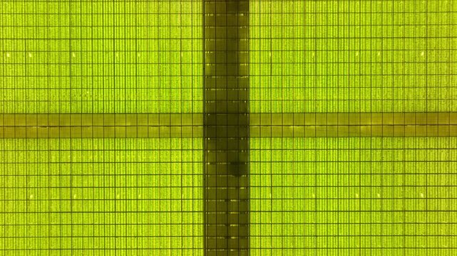 Aerial night view of an illuminated greenhouse roof with glowing yellow grid panels and intersecting beams, shifting from close crosshatched detail to a broad overhead scene.