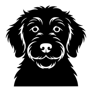 Goldendoodle Face Illustration