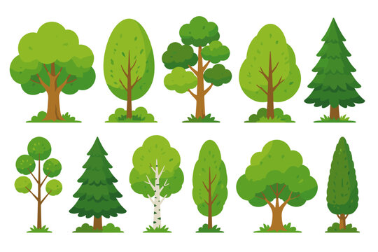 Collection of diverse cartoon trees in various shapes and sizes on a white background