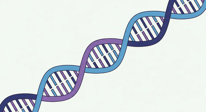 Detailed DNA double helix model featuring purple and blue hues with realistic molecular base pair representations.