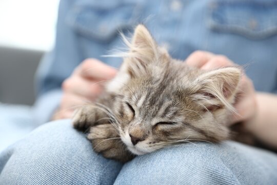 Woman with cute cat at home, closeup. Adorable pet