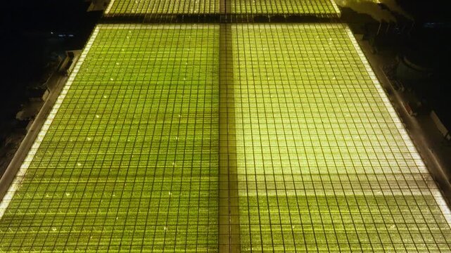 Aerial night view of an illuminated greenhouse complex with glowing yellow grow lights, showing symmetrical grid patterns on glass roofs and industrial agricultural structures.