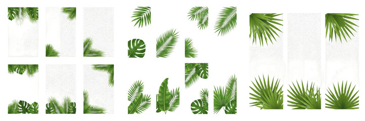 Set of various fresh tropical palm and fern leaves, perfect for botanical nature patterns, eco-friendly branding, and floral design © made man