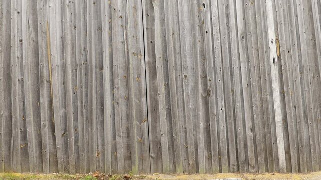 Small beautiful girl in hood goes near tall wooden fence in autumn.