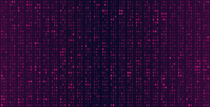 Systemic Bitstream Array - Precise Binary Triplets and Network Data Architecture