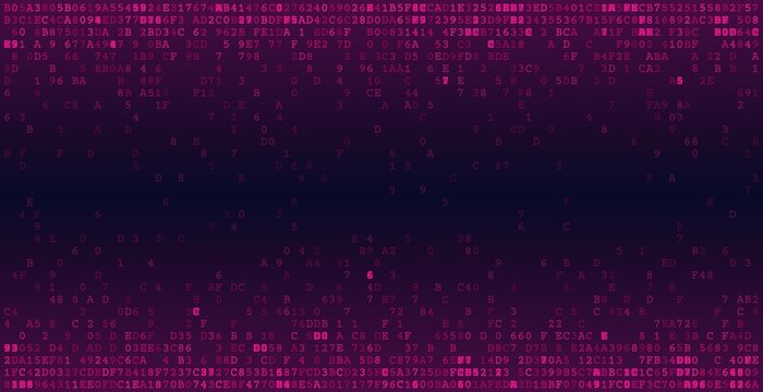 Sparse Binary Dissolve - Artistic Data Fragmentation and Digital Decay