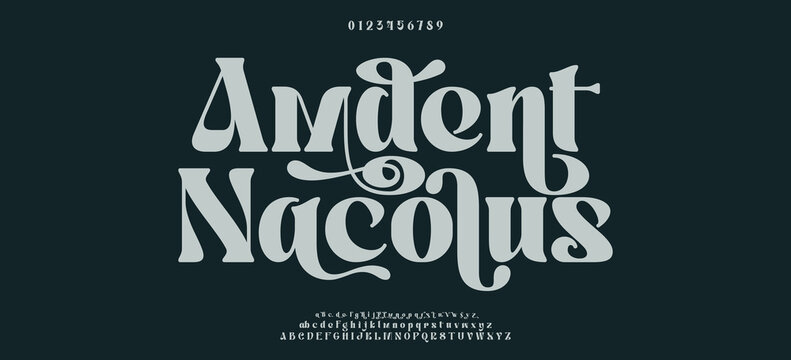 Elegant awesome alphabet letters font and number. unique serif font. Classic Lettering Minimal Fashion Designs. Typography fonts regular uppercase and lowercase. vector illustration