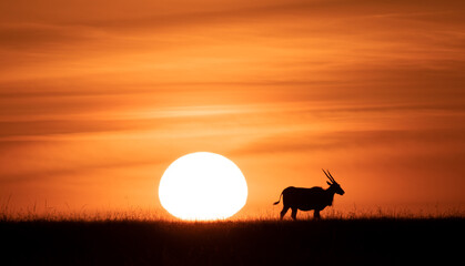 Antelope Sunset © George Erwin Turner