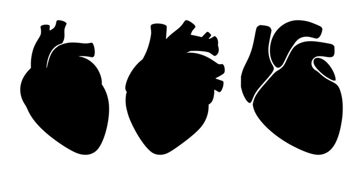 Heart icon set with solid black icon on white background featuring cardiology, heart, medical symbol with vector graphics and digital illustration