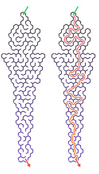 Molecular structure representation of biological macromolecules  