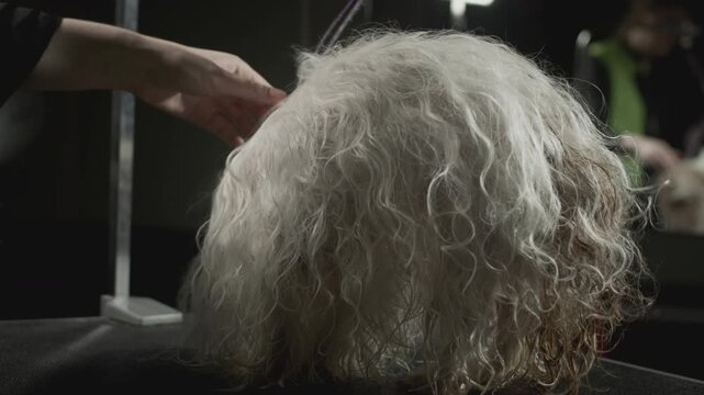 The dog's coat is dried with a hairdryer. Animal beauty salon, grooming. Shih Tzu after a bath at the vet. Pet dog grooming on the table. Haircut and combing. Slow motion