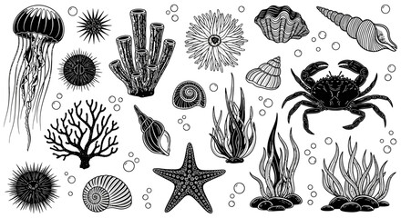 Underwater sea creatures, ocean icons, marine life illustrations, black and white vector set of 20 © Kyte