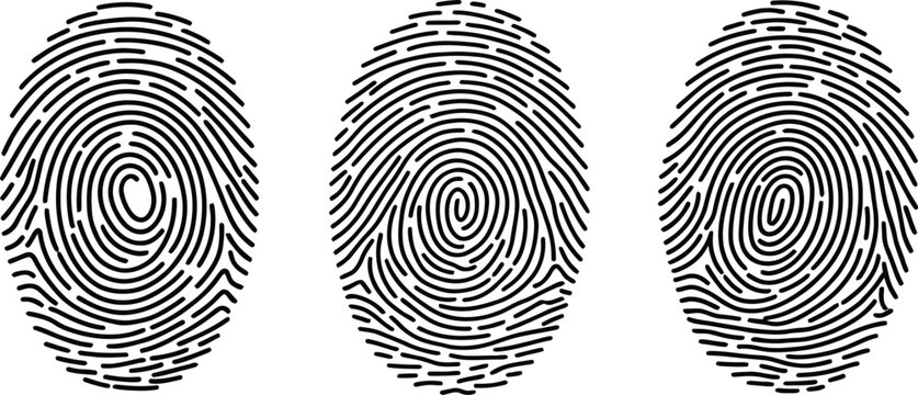 fingerprint forensic identity marks ridge whorl loop vector
