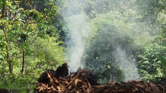 Thick white smoke billowed from a pile of dry bamboo leaves and organic matter charred by a small fire on the ground. A contrast of dry leaves and black ash from burning garden waste.