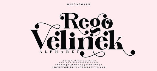 Elegant modern alphabet font. Typography luxury classic lettering serif italic fonts decorative wedding vintage retro logos. vector illustration © DA