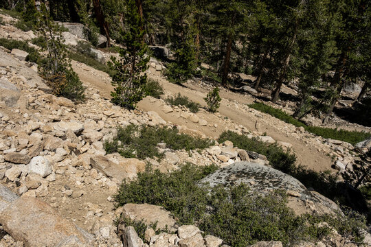 Dense Switchbacks Through Rock Hill Side In Kings Canyon