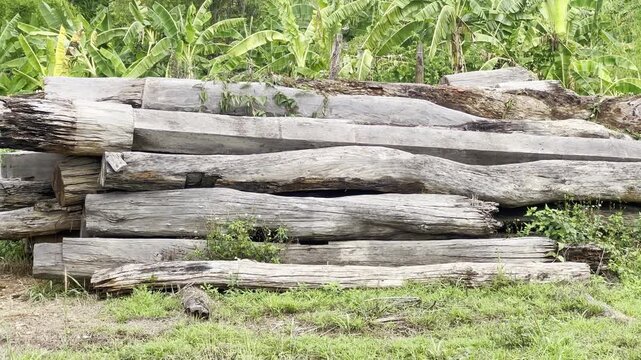 Piles of old wooden posts, logs, and timbers.