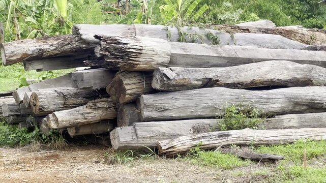 Piles of old wooden posts, logs, and timbers.