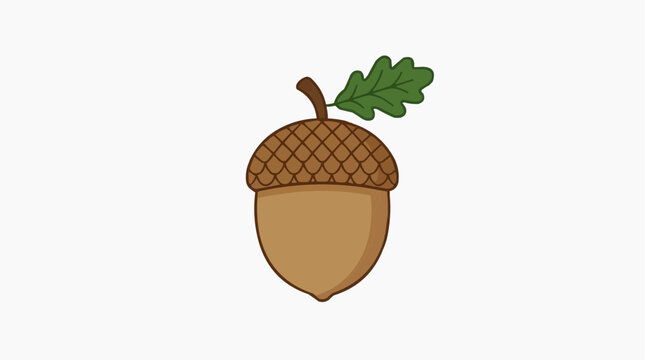 Acorn with Leaf: A simple, stylized illustration of a single acorn with a green oak leaf attached, presented on a plain background.