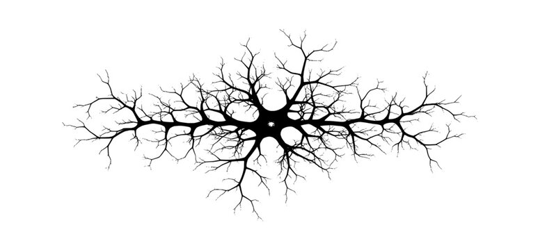 Abstract black silhouette of a tree root system or nerve cell structure vector art
