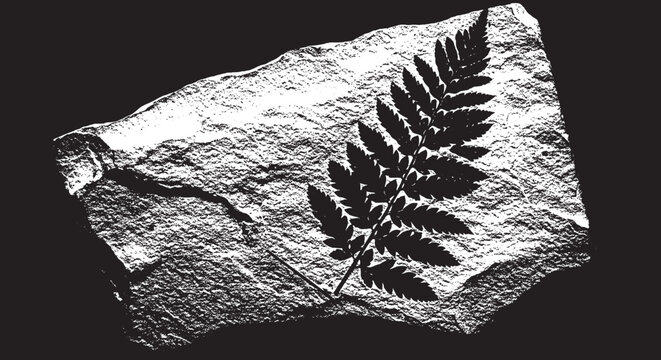 Fossilized fern leaf imprint on a piece of rough stone, high contrast black and white graphic vector art