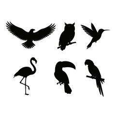 Fototapeta premium Collection of diverse bird silhouettes including eagle flamingo owl toucan hummingbird and parrot