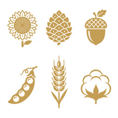 Obraz premium Golden Harvest Icons Set Sunflower Pinecone Acorn Pea Wheat Cotton Vector Illustration