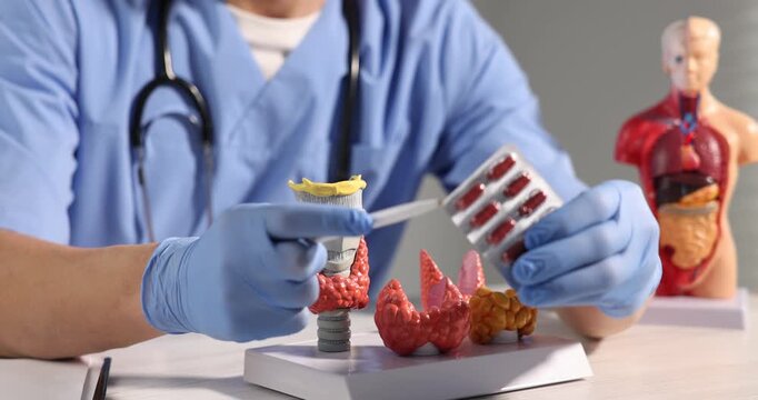 Endocrinologist demonstrating models of thyroid glands and giving pills at light table in clinic, closeup