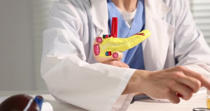 Doctor demonstrating model of liver and pancreas and giving medical bottle of pills at light wooden table in clinic, closeup