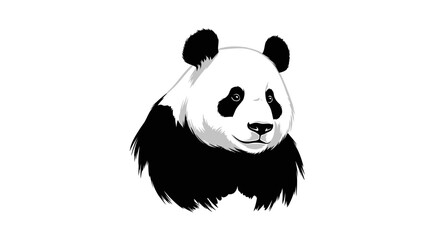 Black and white panda bear face. © Abidzar