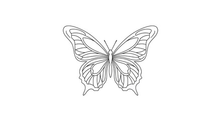 Detailed drawing of a butterfly. © Arzan