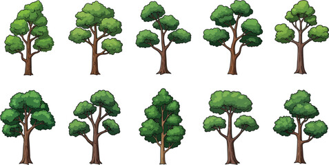 Cartoonstyle trees with green leaves and brown trunks  various types © Nusrat