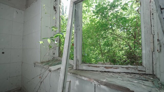 Abandoned Bathroom Broken Window No Glass Interior Slow Motion Pan Shot | Peeling Paint Vines Growing Inside Ruined Room | Urban Decay Nature Reclaim Wide Angle View