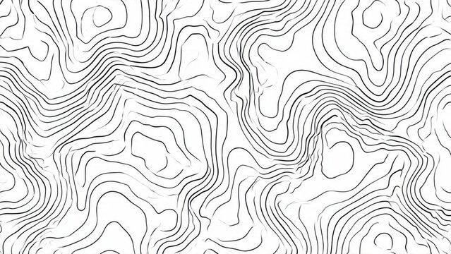 Topographic Map Contour Lines Pattern
