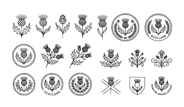 Minimal Scottish thistle floral emblem set thin line botanical vector isolated on white background