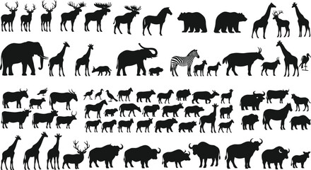 Wild Animal Silhouette Collection with Deer Moose Giraffe Elephant Buffalo Bear and Safari Wildlife Vector Set © MstRostama