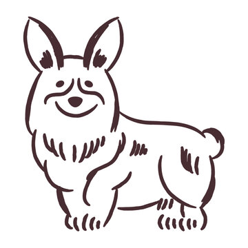 Cute hand drawn corgi dog vector illustration
