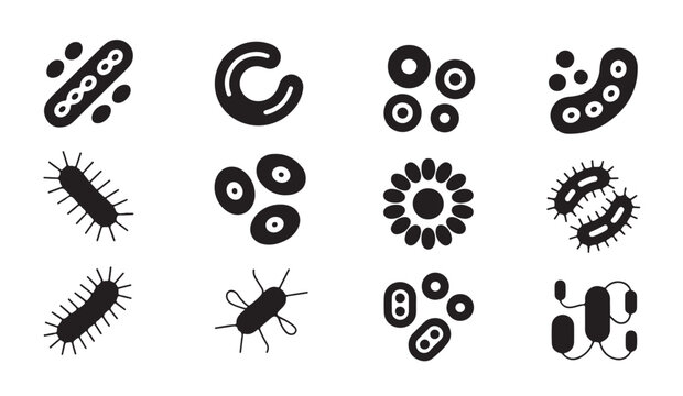 Bacterial shapes collection showing different types of microbes and biological organisms.