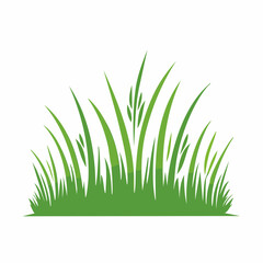 Fototapeta premium Green Grass Illustration