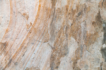 Obraz premium Weathered Stone Texture Featuring Circular Mineral Structures And Striations