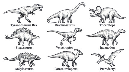 Collection of Dinosaur Illustrations - Tyrannosaurus Rex, Triceratops, Brachiosaurus, Stegosaurus, Velociraptor, Pterodactyl, Ankylosaurus, Iguanodon, Parasaurolophus © ades