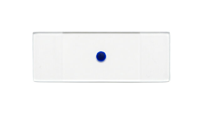 A white rectangular object with a blue dot on transparent background hantavirus pulmonary syndrome, hps