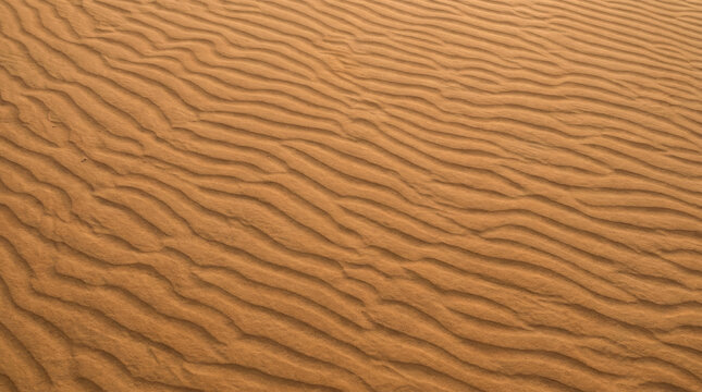 Rippling patterns on sandy desert surface create mesmerizing visual effect