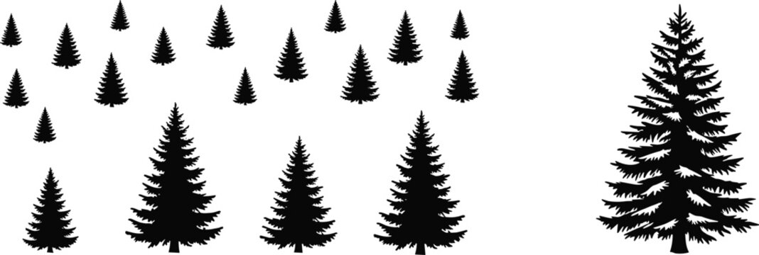 Pine tree silhouettes set with evergreen forest shapes isolated black vector illustration collection for nature landscape design