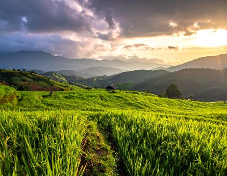Serene green landscape with rolling hills.