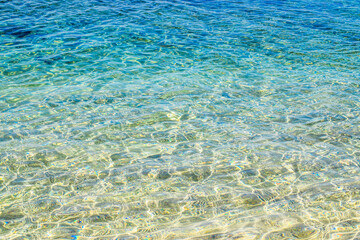 Fototapeta premium coral reef in the blue sea