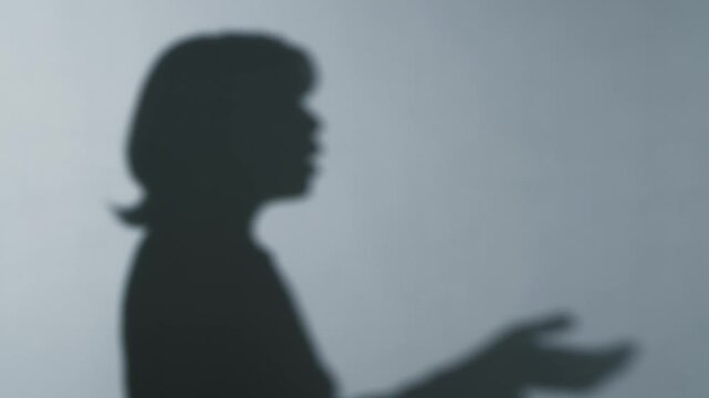 口論する女性のシルエット