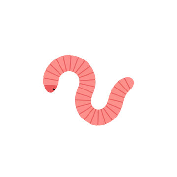 Pink earthworm worm vector with segmented body