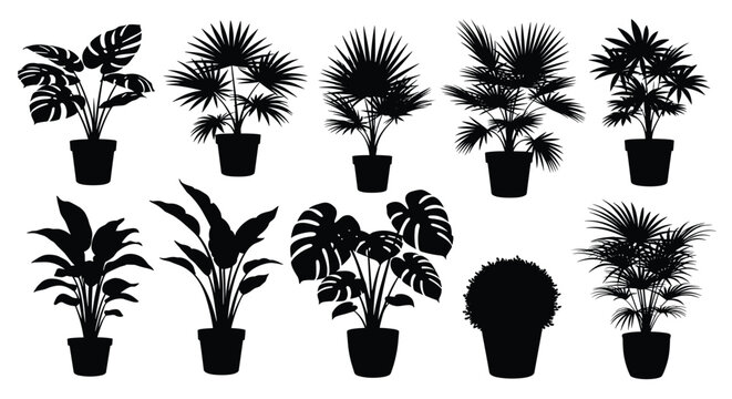 Collection of various houseplant silhouettes in pots including monsteras and palm trees against a plain white background.